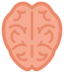 Brain