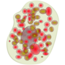 download Mast Cell clipart image with 90 hue color