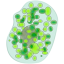 download Mast Cell clipart image with 180 hue color