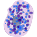 download Mast Cell clipart image with 315 hue color