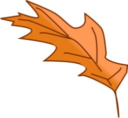 Leaf 4