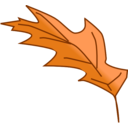 Leaf 4