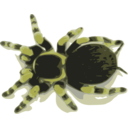 download Tarantula clipart image with 45 hue color
