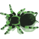 download Tarantula clipart image with 90 hue color