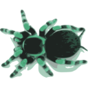download Tarantula clipart image with 135 hue color