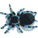 download Tarantula clipart image with 180 hue color