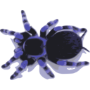 download Tarantula clipart image with 225 hue color