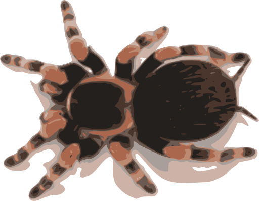 Tarantula