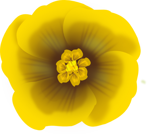 Flower Yellow