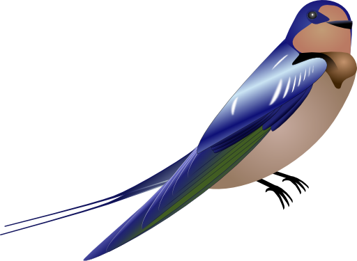 Hirundo