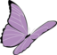 Purple Butterfly