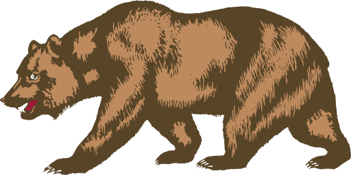 Flag Of California Bear