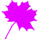 download Maple Leaf clipart image with 270 hue color