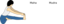 Maha Mudra