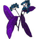 download Allspice Colored Version clipart image with 180 hue color