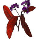 download Allspice Colored Version clipart image with 270 hue color