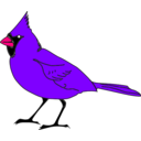 download Cardinal Remix 1 clipart image with 270 hue color