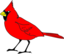 Cardinal Remix 1