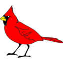 Cardinal Remix 1