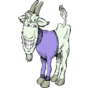 download Goat In A Sweater clipart image with 45 hue color