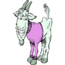 download Goat In A Sweater clipart image with 90 hue color