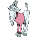download Goat In A Sweater clipart image with 135 hue color