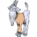 download Goat In A Sweater clipart image with 180 hue color