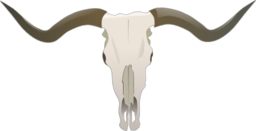 Longhorn Skull