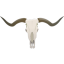 Longhorn Skull