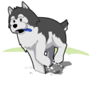 download Husky Running In Snow clipart image with 225 hue color
