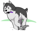 download Husky Running In Snow clipart image with 270 hue color