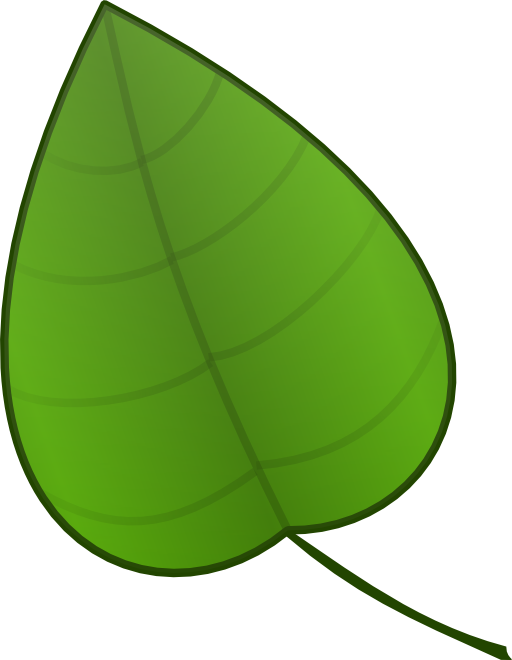 Leaf