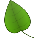 Leaf