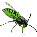 download Wasp clipart image with 45 hue color