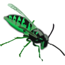 download Wasp clipart image with 90 hue color