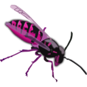 download Wasp clipart image with 270 hue color