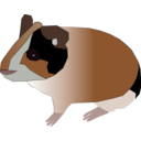 download Guinea Pig clipart image with 0 hue color