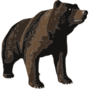 Brown Bear