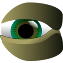 download Eye clipart image with 45 hue color