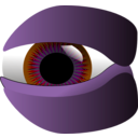download Eye clipart image with 270 hue color