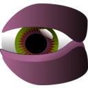 download Eye clipart image with 315 hue color