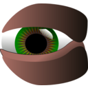 Eye