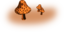 Mushrooms