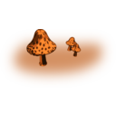 Mushrooms