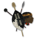 Zulu Warrior