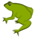 Remix Frog