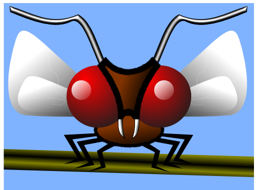 Mosca