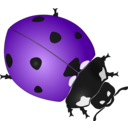 download Ladybug clipart image with 270 hue color