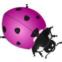 download Ladybug clipart image with 315 hue color