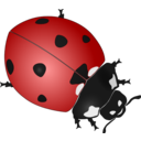 download Ladybug clipart image with 0 hue color